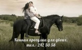 Романтическая прогулка на лошадях!
